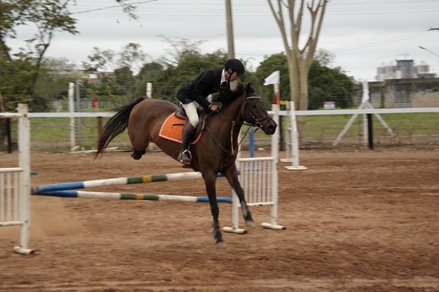 Dialog - Prova de Hipismo Expoagro Cuiaba